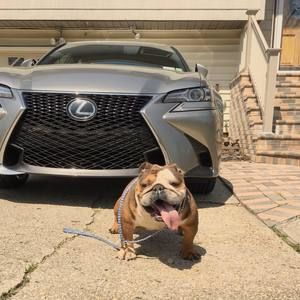 Meet your Posher, Chris